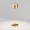 Уличный переносной светильник Maytoni Noble O528TL-L2BSCCT