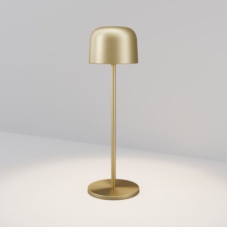 Уличный переносной светильник Maytoni Noble O528TL-L2BSCCT