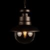 Уличный подвесной светильник LOFT IT Piemonte 100022P