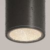 Уличный потолочный светильник Outdoor O306CL-L12GF