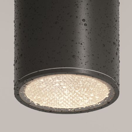 Уличный потолочный светильник Outdoor O306CL-L12GF