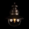 Уличный настенный светильник LOFT IT Piemonte 100022W