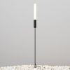 Ландшафтный светильник Outdoor O487FL-L3GF3K1