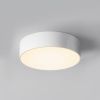 Уличный потолочный светильник Outdoor O431CL-L30W3K