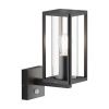 Уличный настенный светильник Outdoor O452WL-01GFSR