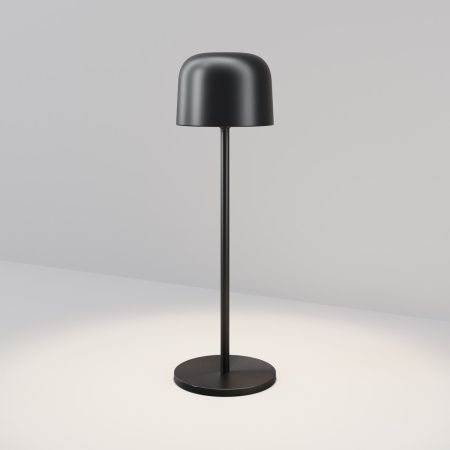 Уличный переносной светильник Maytoni Noble O528TL-L2BCCT