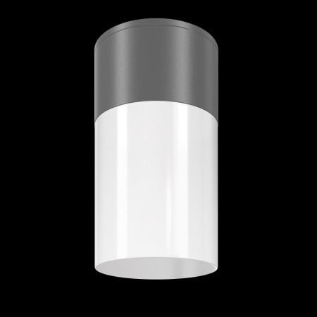 Уличный потолочный светильник Outdoor O418CL-01GR