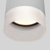 Уличный потолочный светильник Elektrostandard Light LED 35140/H
