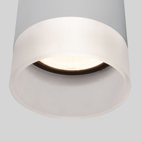 Уличный потолочный светильник Elektrostandard Light LED 35140/H