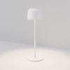 Уличный переносной светильник Maytoni Noble O528TL-L2WCCT