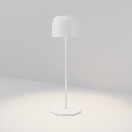 Уличный переносной светильник Maytoni Noble O528TL-L2WCCT