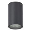 SL9010.712.01 Светильник уличный потолочный ST-Luce серый GU10 1*50W TUBO