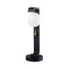 Парковый светильник Odeon Light Luma 5434/1F