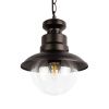 Уличный подвесной светильник LOFT IT Piemonte 100022P