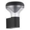 SL9541.701.01 Светильник уличный настенный ST-Luce темно-серый LED 1*6W 3000K DROP