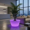 Светящееся кашпо Lumb 220V RGB Accum