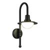 SL9512.401.01 Светильник уличный настенный ST-Luce черный/Прозрачный LED 1*10W 4000K PROCHE