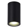 SL9010.412.01 Светильник уличный потолочный ST-Luce черный GU10 1*50W TUBO
