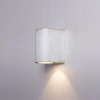 Фасадный светильник Arte Lamp DOPPIO A3502AL-1WG