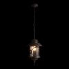 Уличный подвесной светильник LOFT IT Prato 100021P