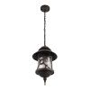 Уличный подвесной светильник LOFT IT Prato 100021P