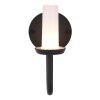 SL9539.701.01 Светильник уличный настенный ST-Luce темно-серый LED 1*3W 3000K CANDLE