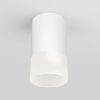 Уличный потолочный светильник Elektrostandard Light LED 35139/H белый