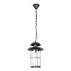 Уличный подвесной светильник LOFT IT Palermo 100015P
