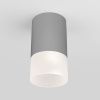 Уличный потолочный светильник Elektrostandard Light LED 35139/H