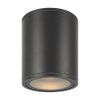Уличный потолочный светильник Outdoor O306CL-L12GF