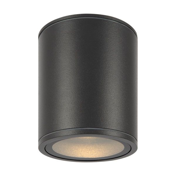 Уличный потолочный светильник Outdoor O306CL-L12GF