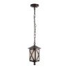 Уличный подвесной светильник LOFT IT Ravenna 100016P