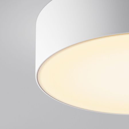 Уличный потолочный светильник Outdoor O431CL-L30W3K