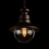 Уличный подвесной светильник LOFT IT Piemonte 100022P