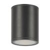 Уличный потолочный светильник Outdoor O306CL-L12GF