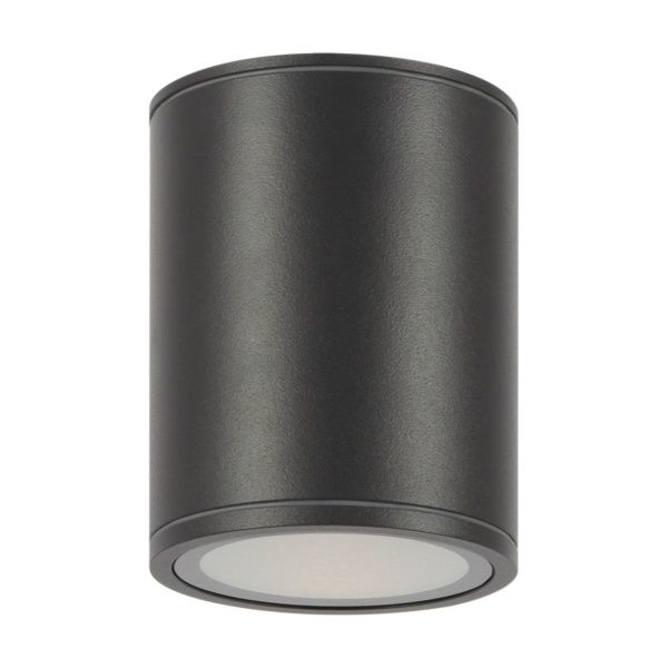 Уличный потолочный светильник Outdoor O306CL-L12GF