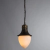 Уличный подвесной светильник Arte Lamp VIENNA A1317SO-1BN