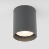 Уличный потолочный светильник Elektrostandard Light LED 35130/H