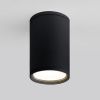 Уличный потолочный светильник Elektrostandard Light 35128/H черный