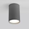 Уличный потолочный светильник Elektrostandard Light 35128/H серый