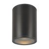 Уличный потолочный светильник Outdoor O306CL-L7GF