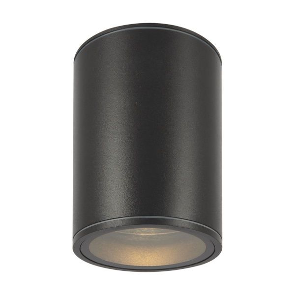 Уличный потолочный светильник Outdoor O306CL-L7GF