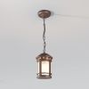 Уличный подвесной светильник Outdoor O031PL-01BR
