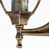 Уличный настенный светильник Arte Lamp PEGASUS A3151AL-1BN