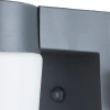 Уличный настенный светильник Arte Lamp CITY A8058AL-1GY