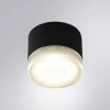Уличный потолочный светильник Arte Lamp PIAUTOS A1926PF-1BK