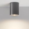 Уличный потолочный светильник Outdoor O306CL-L7GF