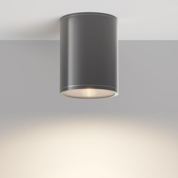 Уличный потолочный светильник Outdoor O306CL-L7GF