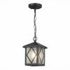 Уличный подвесной светильник ST Luce Лорне SL084.403.01