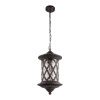 Уличный подвесной светильник LOFT IT Bergamo 100018P
